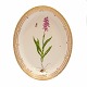 Royal Copenhagen Flora Danica stort ovalt fad #3518. "Orchis  Masculus L.". År 
1962. Mål: 40x32cm