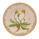 Royal Copenhagen Flora Danica rund skål #3505. "Leontodon hirtum Müll". År 
1979-83. H: 6cm. D: 25cm