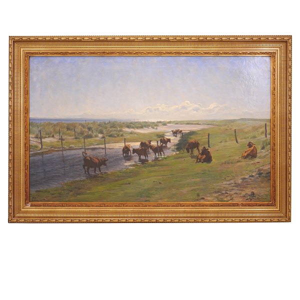 Gotfred Rode maleri. Gotfred Rode, 1862-1937, olie på lærred. Stort parti med 
køer på mark. Signeret. Lysmål: 85x140cm. Med ramme: 111x164cm